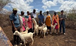 Giving 10 vulnerable women goats at shebly well Giving 10 vulnerable women goats at shebly well