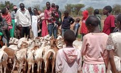 Giving disabled kids goats and a basket of food Giving disabled kids goats and a basket of food